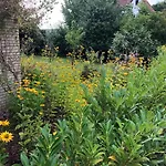 Fewo-schnoor Lübeck