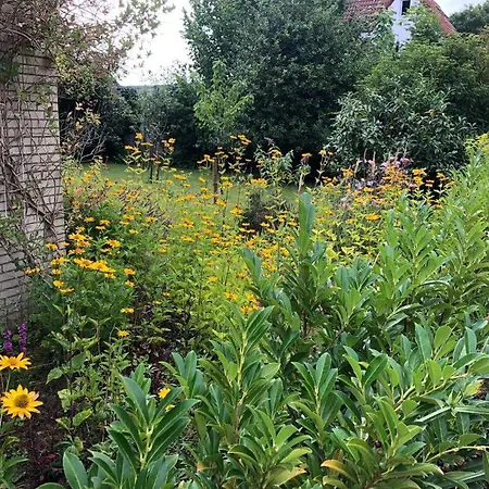 Fewo-schnoor Lübeck